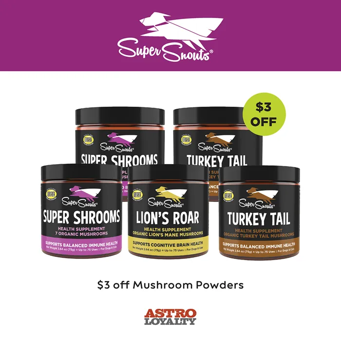 Promotion Image